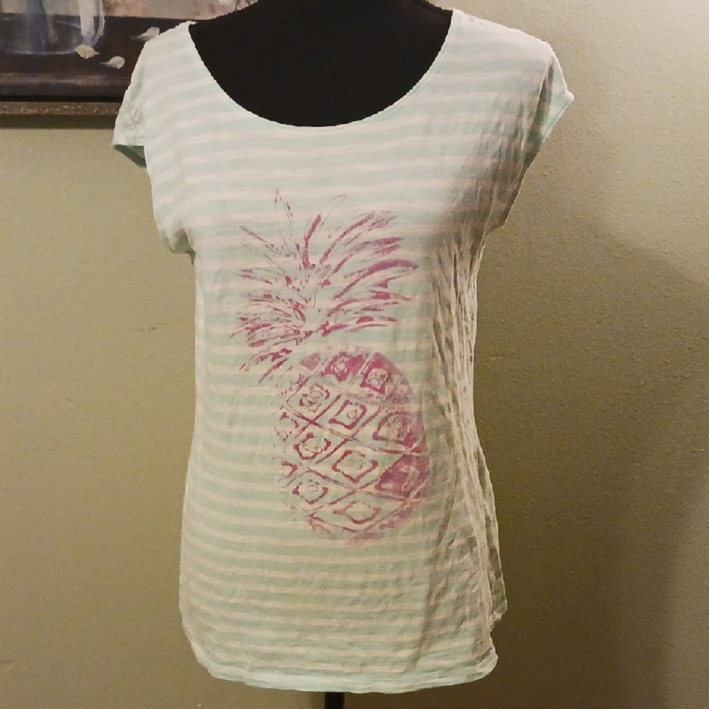 SPECIAL 2/$25 Striped Mint and Pink Pineapple Top